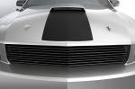 Ford Mustang 428R by Roush 2008 года